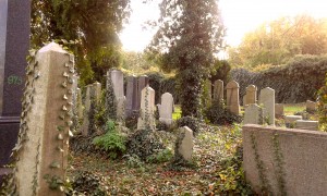 cmentarz żydowski w Bielsku-Białej